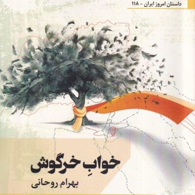 خرید کتاب خواب خرگوش اثر بهرام روحانی نشر افراز
