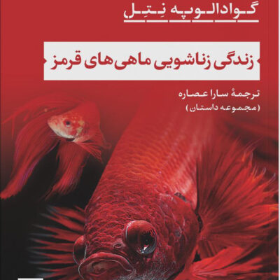 خرید کتاب زندگی زناشویی ماهی های قرمز اثر گوادالوپه نتل نشر نی