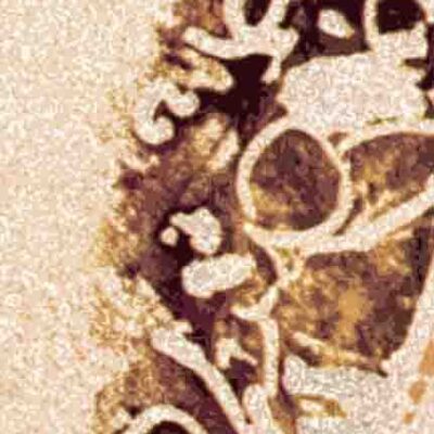 خرید کتاب شمس و طغرا از نشر هرمس