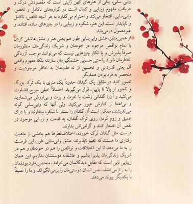 خرید کتاب وابی سابی عشق اثر آریل فورد نشر روشنگران