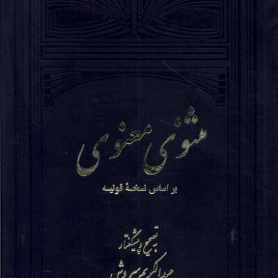 کتاب مثنوی معنوی اثر عبدالکریم سروش 2 جلدی نشر علمی فرهنگی