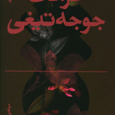 کتاب ظرافت جوجه تیغی اثر موریل باربری نشر آگه