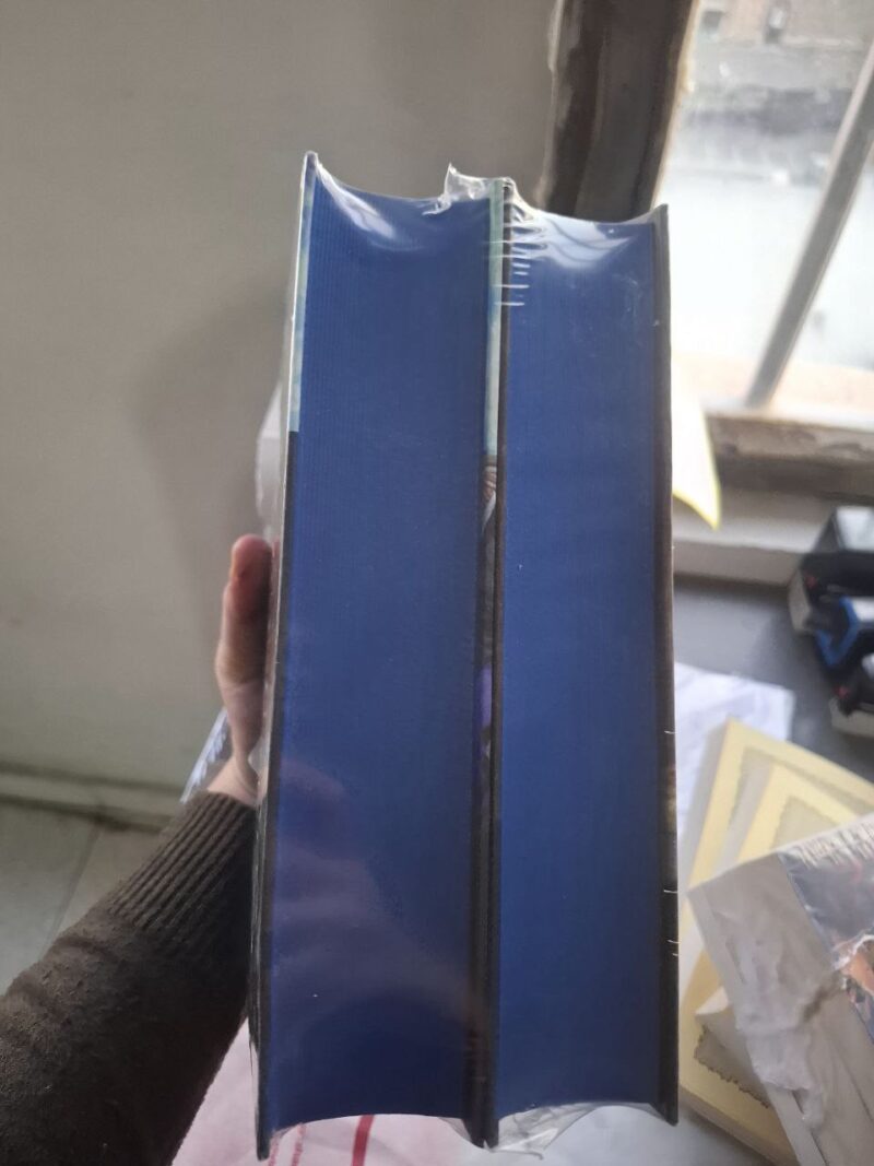 کتاب برادران کارامازوف ترجمه اصفر رستگار نشر نگاه