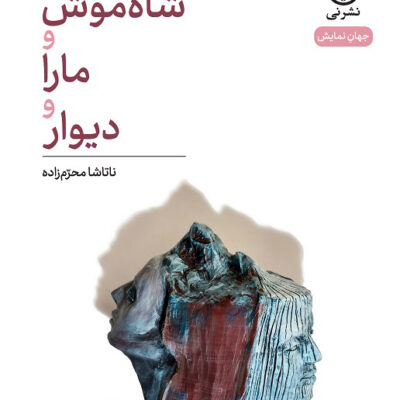 کتاب شاه موش و مارا و دیوار اثر ناتاشا محرم زاده نشر نی