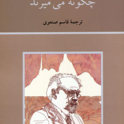 کتاب چگونه می میرند نوشته امیل زولا نشر دوستان