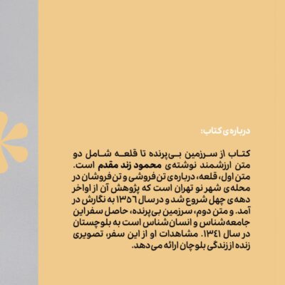 کتاب از سرزمین بی پرنده تا قلعه نوشته محمود زنده قلم نشر وزن دنیا