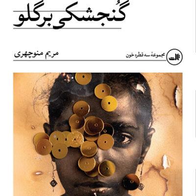 کتاب گنجشکی بر گلو مریم منوچهری نشر ثالث