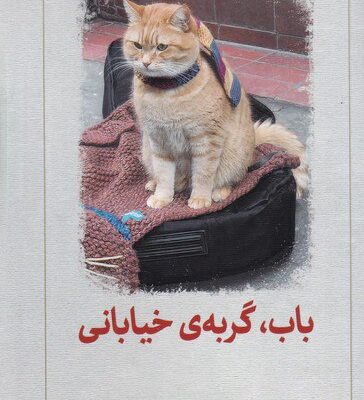 کتاب باب گربه ی خیابانی اثر جیمز بوون نشر دیدآور