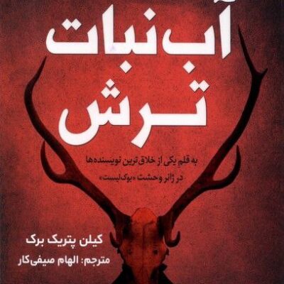 کتاب آب نبات ترش نشر اندیشه مولانا