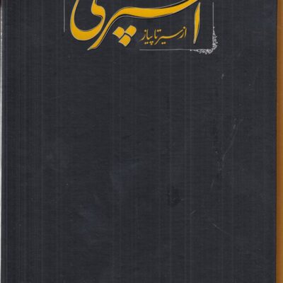 کتاب مستطاب آشپزی از سیر تا پیاز نجف دریابندری نشر کارنامه