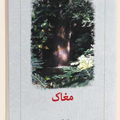 کتاب مغاک اثر پیلار کینتانا نشر دیدآور