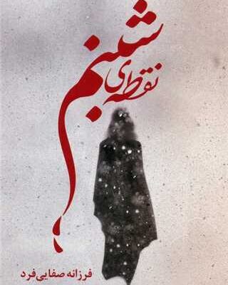 کتاب نقطه ی شبنم فرزانه صفایی فرد نشر شقایق