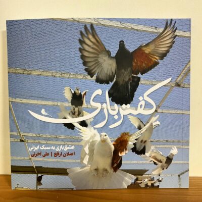 کتاب کفتر بازی عشق بازی به سبک ایرانی نشر نظر