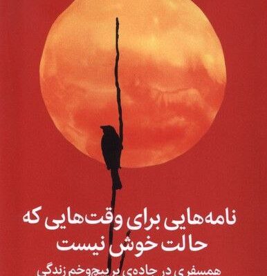 کتاب نامه های برای وقت هایی که حالت خوش نیست جولی اسمیت نشر میلکان
