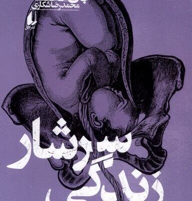 کتاب سرشار زندگی اثر جان فانته نشر افق