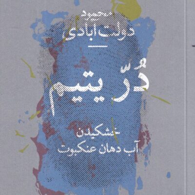 کتاب در یتیم خشکیدن آب دهان عنکبوت محمود دولت آبادی نشر چشمه