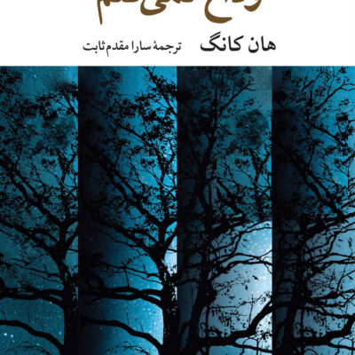 کتاب وداع نمیکنم اثر هان کانگ نشر نگاه