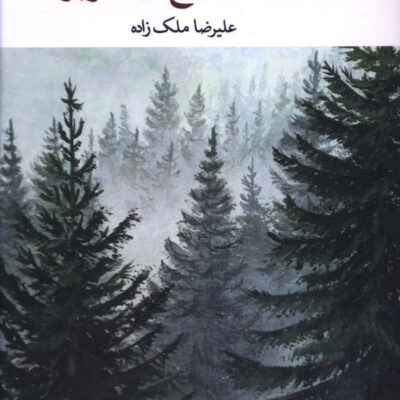 کتاب هنگامه رنج در صنوبر علیرضا ملک زاده نشر نگاه