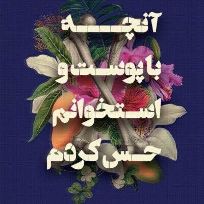 کتاب آنچه با پوست و استخوانم حس کردم استفانی فو نشر گویا