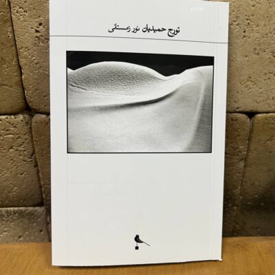 کتاب نور زمستانی تورج حمیدیان نشر نظر