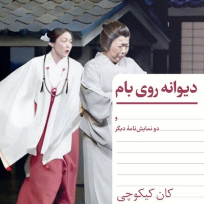 کتاب دیوانه روی بام اثر کان کیکوچی نشر هرمس
