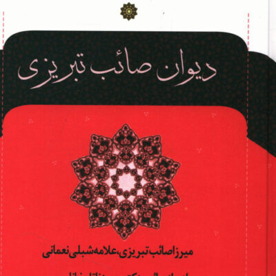 کتاب دیوان صائب تبریزی 2 جلدی نشر نگاه