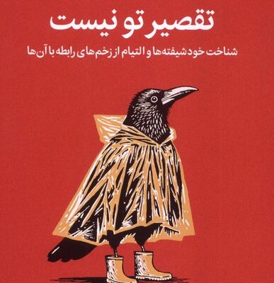 کتاب تقصیر تو نیست اثر رامنی دورواسلا نشر میلکان