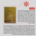 کتاب مبارز تاریخچه فوتبال علیه فاشیسم کریس لی نشر خوب