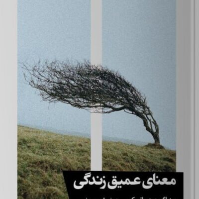 کتاب معنای عمیق زندگی ترجمه شهاب الدین عباسی