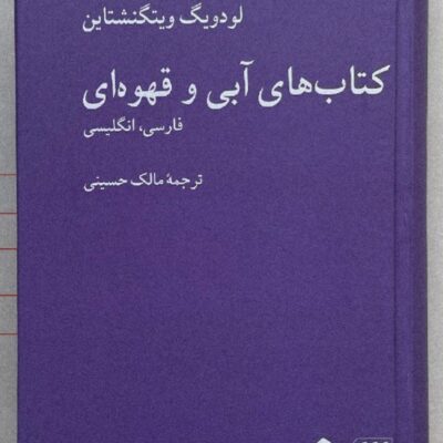 کتاب کتاب های آبی و قهوه ای لودویگ ویتگنشتاین نشر هرمس کرگدن
