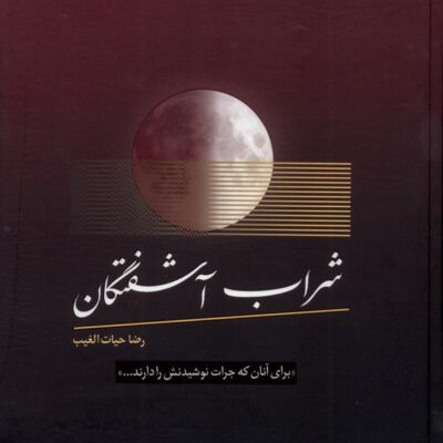 کتاب شراب آشفتگان رضا حیات الغیب نشر سخنوران