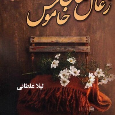 کتاب زغال های خاموش لیلا غلطانی نشر علی