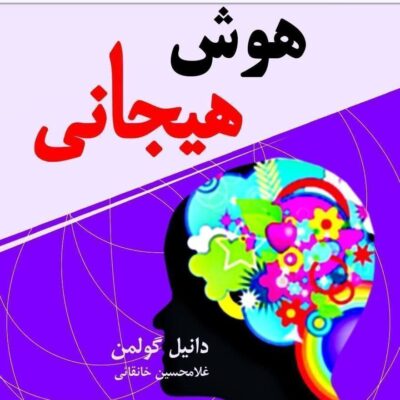 کتاب هوش هیجانی دانیل گولمن نشر نسل نواندیش