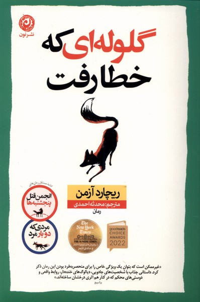 کتاب گلوله ای که خطا رفت ریچارد آزمن نشر نون