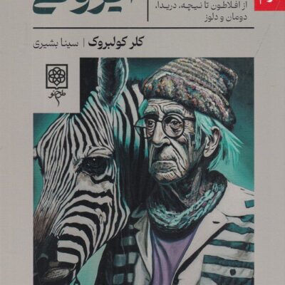 کتاب آیرونی کلر کولبروک نشر طرح نو