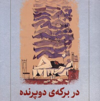 کتاب در برکه ی دو پرنده فلن ابراین نشر دیدآور