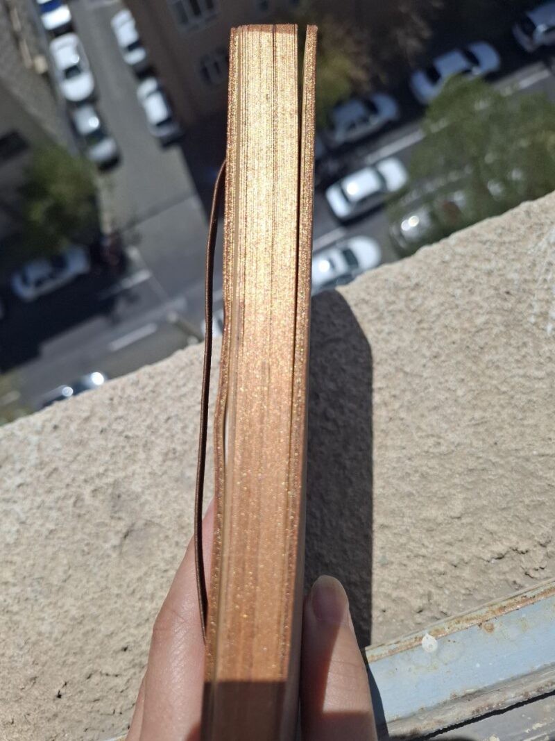 کتاب همسفر نوشته الهه عسکری نشر مون