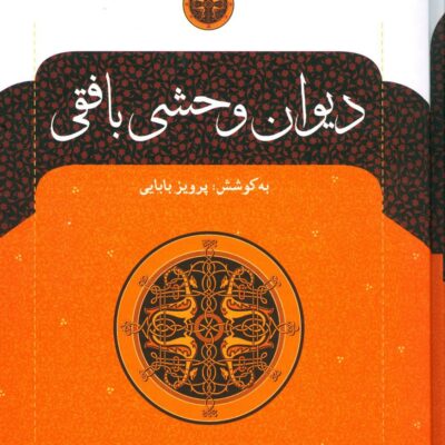 کتاب دیوان وحشی بافقی پرویز بابایی نشر نگاه