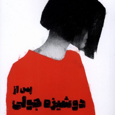 کتاب پس از دوشیزه جولی پاتریک ماربر نشر آیاس