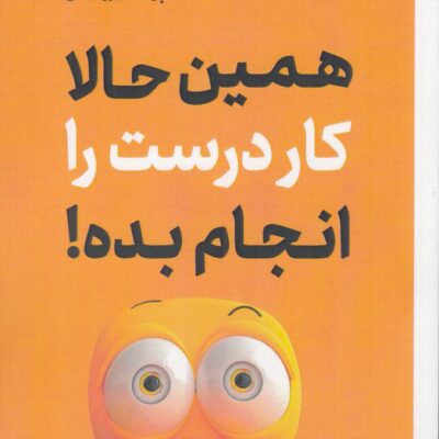 کتاب همین حالا کار درست را انجام بده رایان هالیدی نشر تیرگان