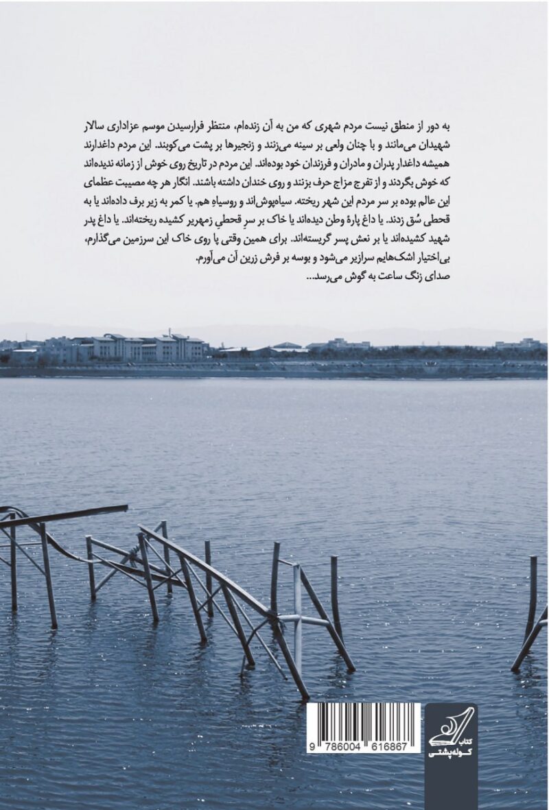 کتاب شورابیلی ها نوشته یعسوب محسنی نشر کوله پشتی