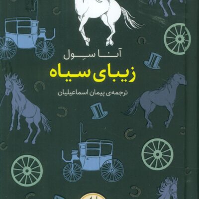 کتاب زیبای سیاه نوشته آنا سول نشر افق