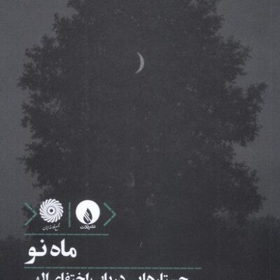 کتاب ماه نو جستارهایی درباب اختفای الهی نشر فلات