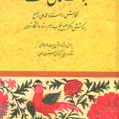 کتاب بوستان سعدی خطیب رهبر نشر صفی علیشاه