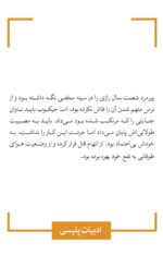 کتاب کرانه های غریب ترجمه زهرا زارعی نشر قطره