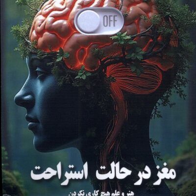 کتاب مغز در حالت استراحت جوزف جبلی نشر صندوقچه