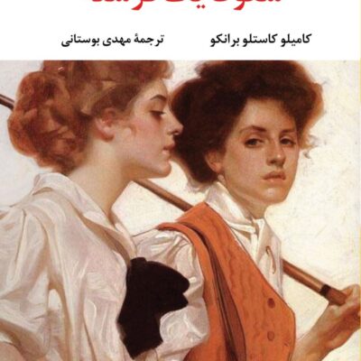 کتاب سقوط یک فرشته ترجمه مهدی بوستانی نشر نگاه