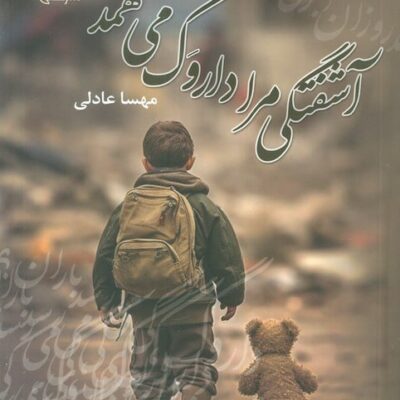 کتاب آشفتگی مرا داروگ می فهمد مهسا عادلی نشر علی