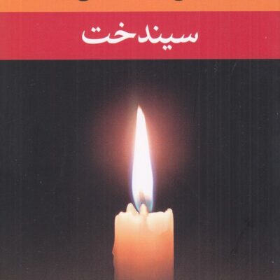 کتاب سیندخت علی محمد افغانی نشر نگاه