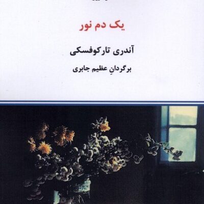 کتاب یک دم نور ترجمه عظیم جابری نشر درون